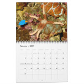 Ein Jahr-Sternenkalender Kalender (Feb 2027)