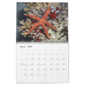 Ein Jahr-Sternenkalender Kalender (Mär 2027)
