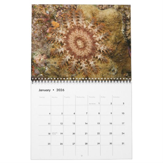 Ein Jahr-Sternenkalender Kalender (Jan 2026)