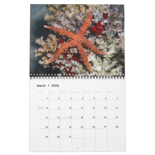 Ein Jahr-Sternenkalender Kalender (Mär 2026)