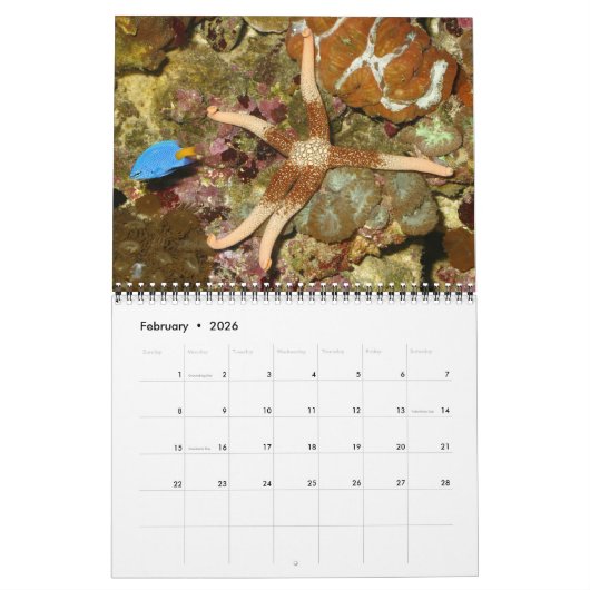 Ein Jahr-Sternenkalender Kalender (Feb 2026)