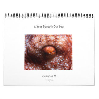 Ein Jahr unter unseren Meeren - Kalender 2009