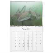 Ein Jahr unter unseren Meeren - Kalender 2009 (Jan 2026)