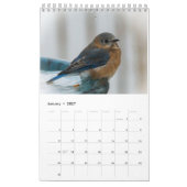 Ein Jahr voller Bluebirds Kalender (Jan 2027)