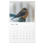 Ein Jahr voller Bluebirds Kalender (Jan 2026)