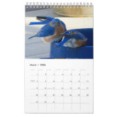 Ein Jahr voller Bluebirds Kalender (Mär 2026)