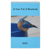 Ein Jahr voller Bluebirds Kalender (Titelbild)