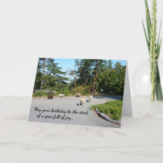 Ein Jahr voller Freude... religiöser Geburtstag Karte (Vorderseite)