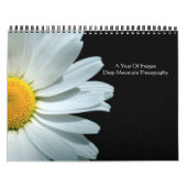 Ein Jahr von Bildern Kalender (Titelbild)
