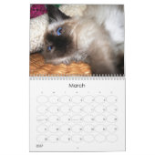 Ein Jahr von fuzzybutts Kalender (Mär 2027)