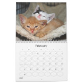 Ein Jahr von fuzzybutts Kalender (Feb 2027)