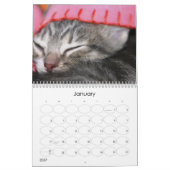 Ein Jahr von fuzzybutts Kalender (Jan 2027)
