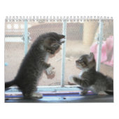 Ein Jahr von fuzzybutts Kalender (Titelbild)