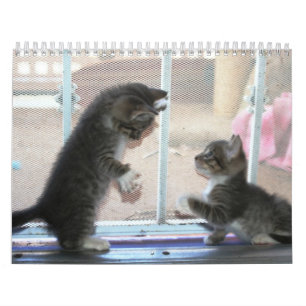 Ein Jahr von fuzzybutts Kalender