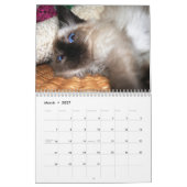 Ein Jahr von fuzzybutts Kalender (Mär 2027)