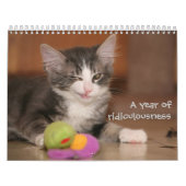Ein Jahr von Ridiculousness Kalender (Titelbild)