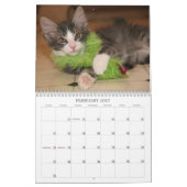 Ein Jahr von Ridiculousness Kalender (Feb 2027)