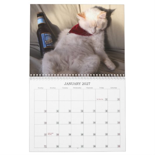 Ein Jahr von Ridiculousness Kalender (Jan 2027)