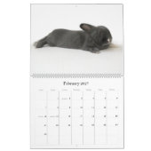 Ein Jahr von Rupert Kalender (Feb 2027)