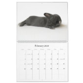 Ein Jahr von Rupert Kalender (Feb 2026)