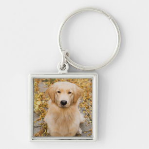 Ein Jährige golden retriever, Porträt Schlüsselanhänger