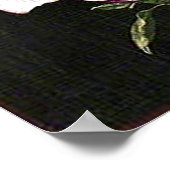 Ein japanisches Magnolia Poster (Ecke)