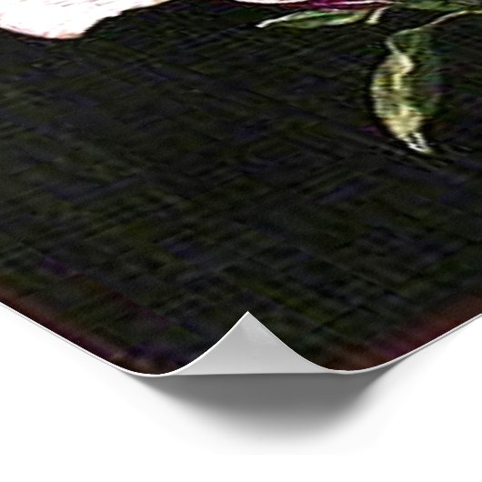 Ein japanisches Magnolia Poster (Ecke)