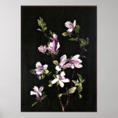 Ein japanisches Magnolia Poster (Vorne)