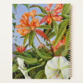 Ein Javanischer Rhododendrum und Ipomoea Planer (Rückseite)
