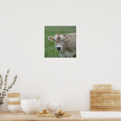 Ein Jersey Cow Poster (Küche)