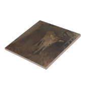 Ein Jersey-Kalb Fliese (Seite)