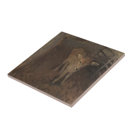 Ein Jersey-Kalb Fliese (Seite)