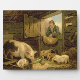 Ein Junge, der in einen Schweinestall schaut, 1794 Fotoplatte