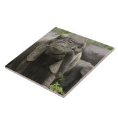 Ein junger afrikanischer Elefant (Loxodonta Fliese (Seite)