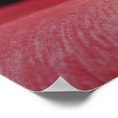 Ein junger französischer Bulldogge, der auf einer  Poster (Ecke)