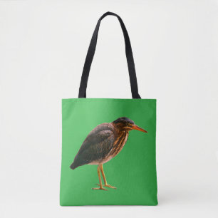 Ein junger Grüner Reiher (Butorides virescens) Tasche
