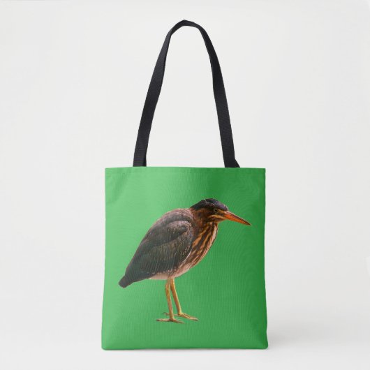 Ein junger Grüner Reiher (Butorides virescens) Tasche (Vorderseite)