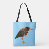 Ein junger Grüner Reiher (Butorides virescens) Tasche (Rückseite)