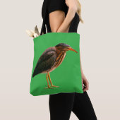 Ein junger Grüner Reiher (Butorides virescens) Tasche (Von Nahem)