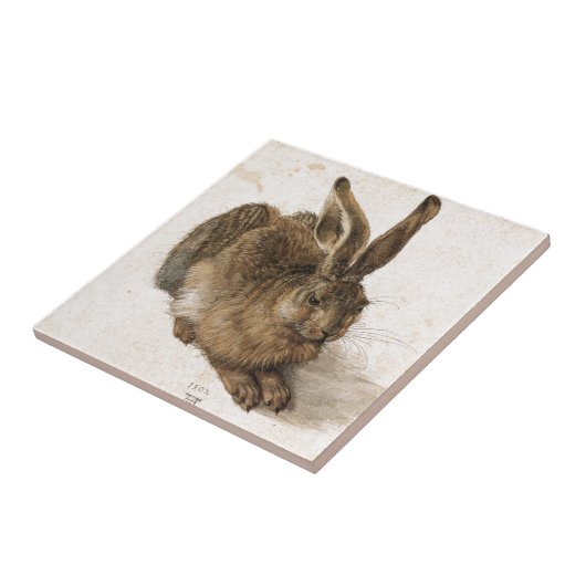 Ein junger Hase durch Albrecht Durer Fliese (Seite)