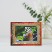 Ein junger Lemur, Tierfotografie Postkarte (Stehend Vorderseite)