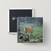 Ein junges Hirsch in einem Wald, der sich rät Button (Vorne & Hinten)