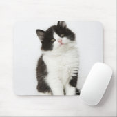 Ein junges Kätzchen, das in die Kamera schaut Mousepad (Mit Mouse)