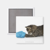 Ein junges Tabby-Kätzchen, das mit Wolle spielt. Magnet (Vorderseite/Rückseite)