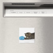 Ein junges Tabby-Kätzchen, das mit Wolle spielt. Magnet (In Situ (Geschirrspüler))
