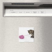 Ein junges Tischchen, das mit einer Kugel spielt Magnet (In Situ (Geschirrspüler))
