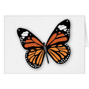 Ein Juwelierschmetterling