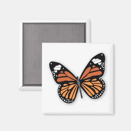 Ein Juwelierschmetterling Magnet (Vorderseite/Rückseite)