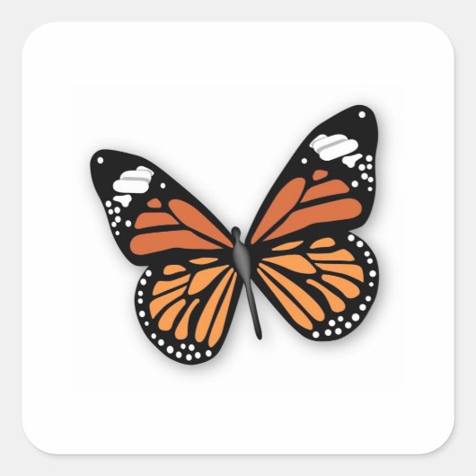 Ein Juwelierschmetterling Quadratischer Aufkleber (Vorderseite)