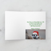 Ein kalahari-Wunsch - Festtages-Karte Feiertagskarte (Innenseite)